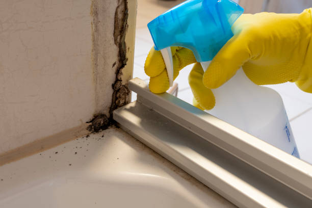 Water Damage Restoration in Dresser, WI