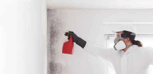 Best Mold Remediation  in Dresser, WI